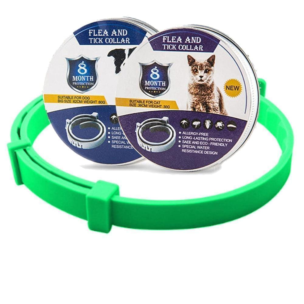 Collier Anti-Puces et Anti-Tiques pour Chiens & Chats | Protection de 8 Mois