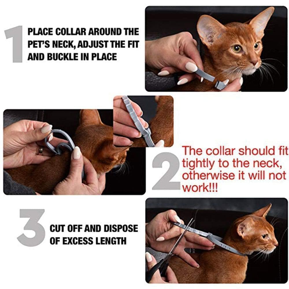 Collier Anti-Puces et Anti-Tiques pour Chiens & Chats | Protection de 8 Mois