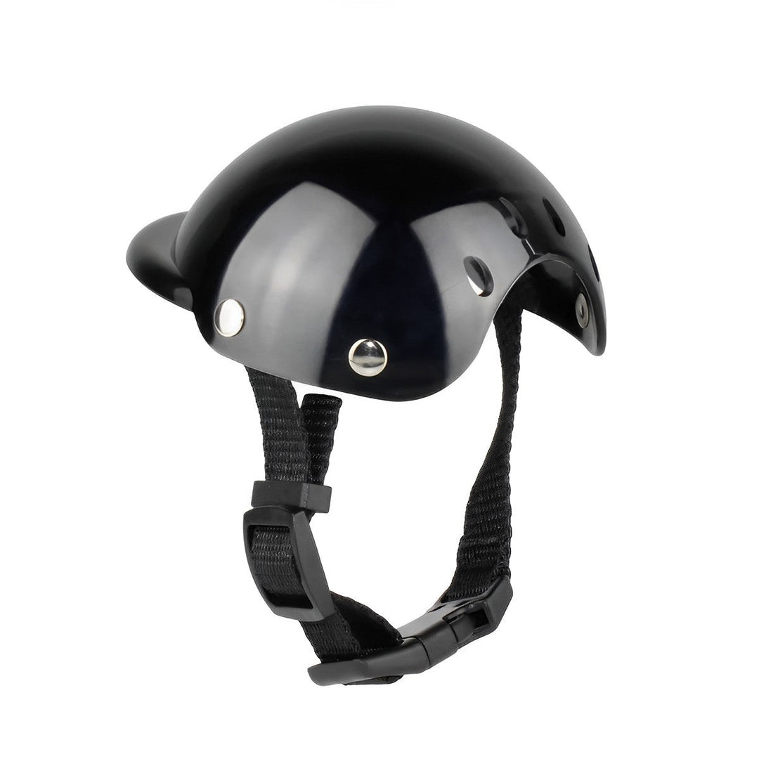 Casque de Moto et Lunettes pour Chiens pour une Conduite en Toute Sécurité