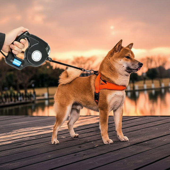 Laisse de Chien LED avec Lampe Torche Intégrée pour des Promenades Sûres