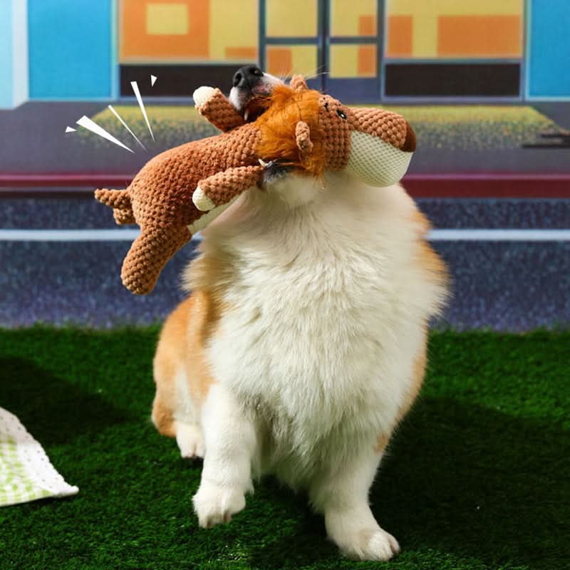 Jouet à mâcher durable pour chiens actifs - Parfait pour le divertissement