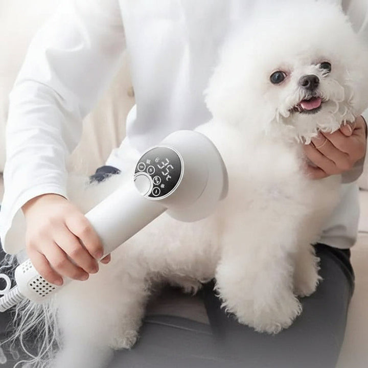 Sèche-cheveux à technologie ionique pour animaux de compagnie