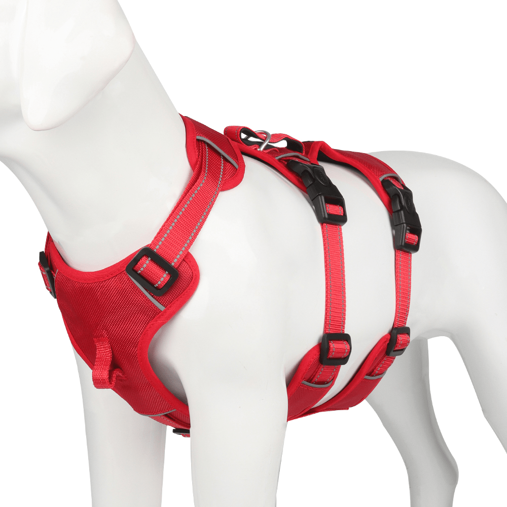 Harnais Anti-Tirage Confortable pour Chien avec Poignée Améliorée et Caractéristiques de Sécurité