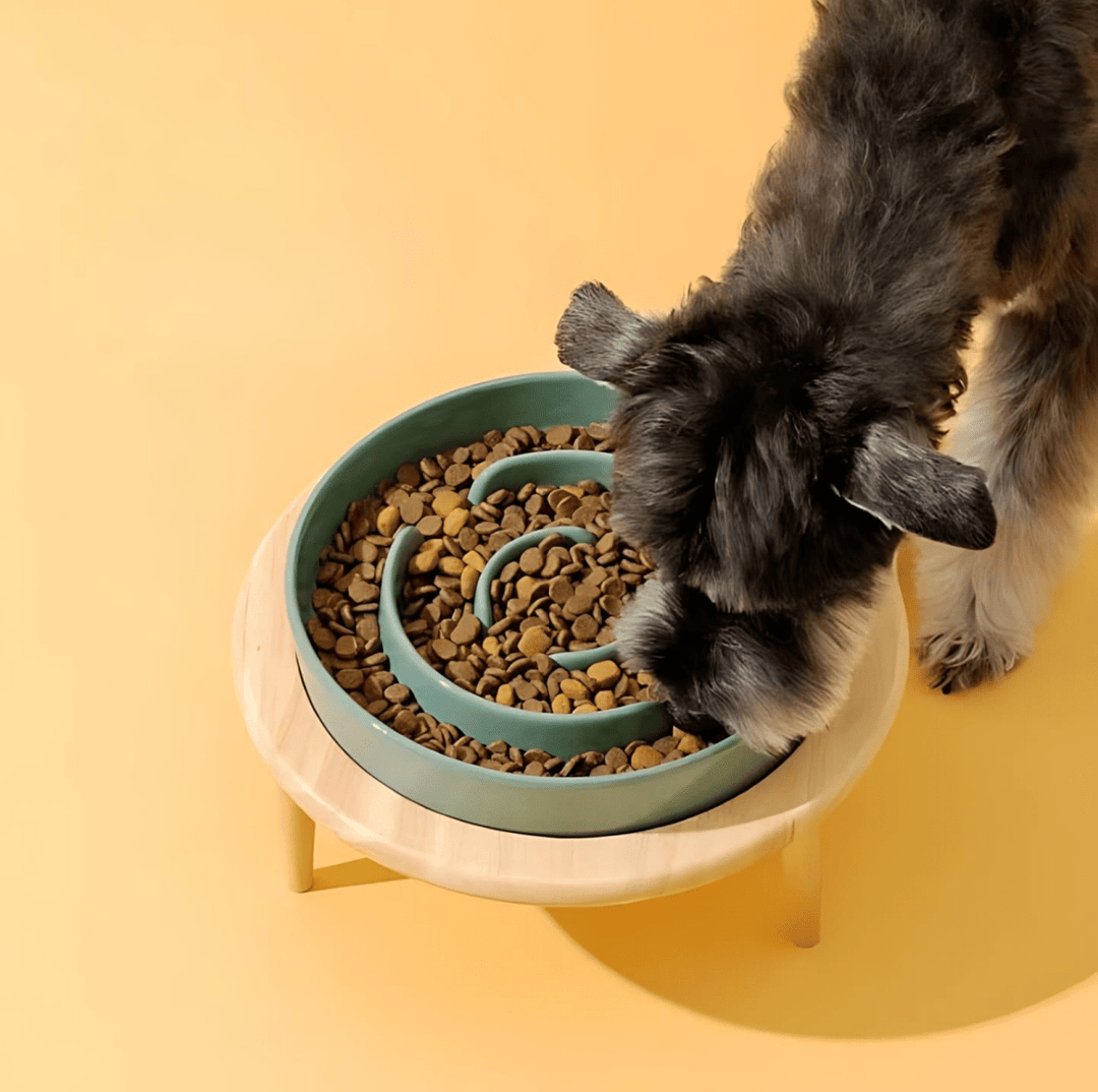 Bol de Nourriture Élégant Fait Main pour Animaux