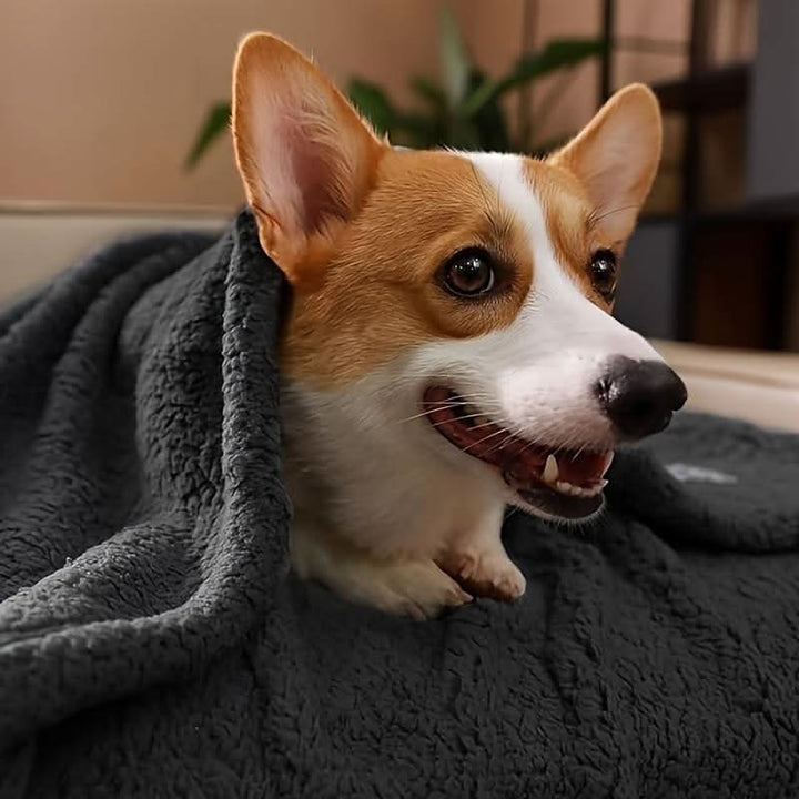 Couverture en Fleece Premium pour Animaux
