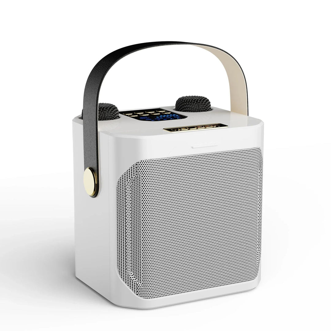 Haut-parleur Karaoke Bluetooth Portable Haute Performance – Subwoofer Sans Fil Stéréo Surround 360° avec Microphones Doubles