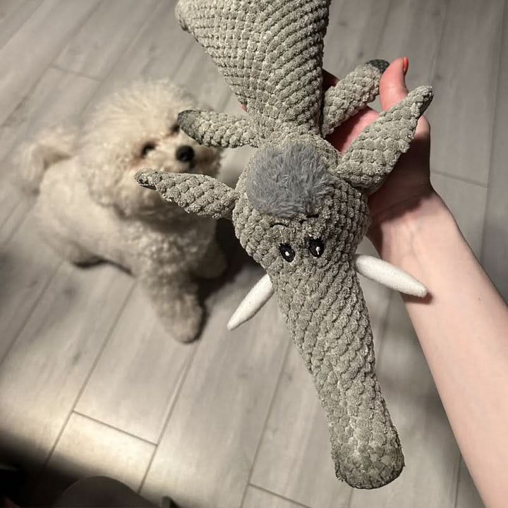 Jouet à mâcher durable pour chiens actifs - Parfait pour le divertissement