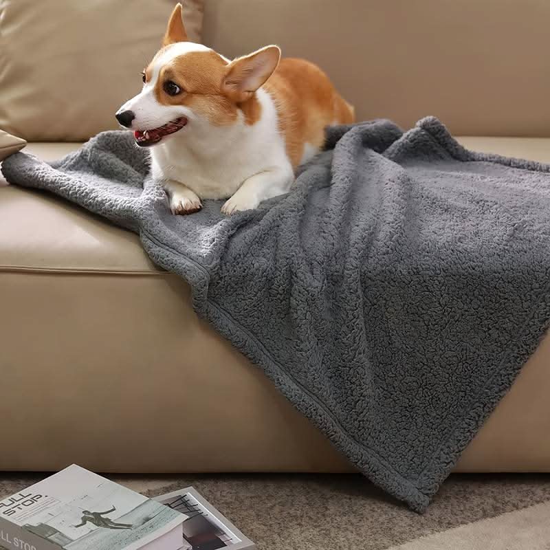 Couverture en Fleece Premium pour Animaux