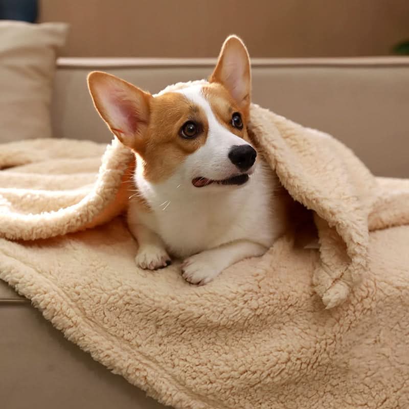 Couverture en Fleece Premium pour Animaux