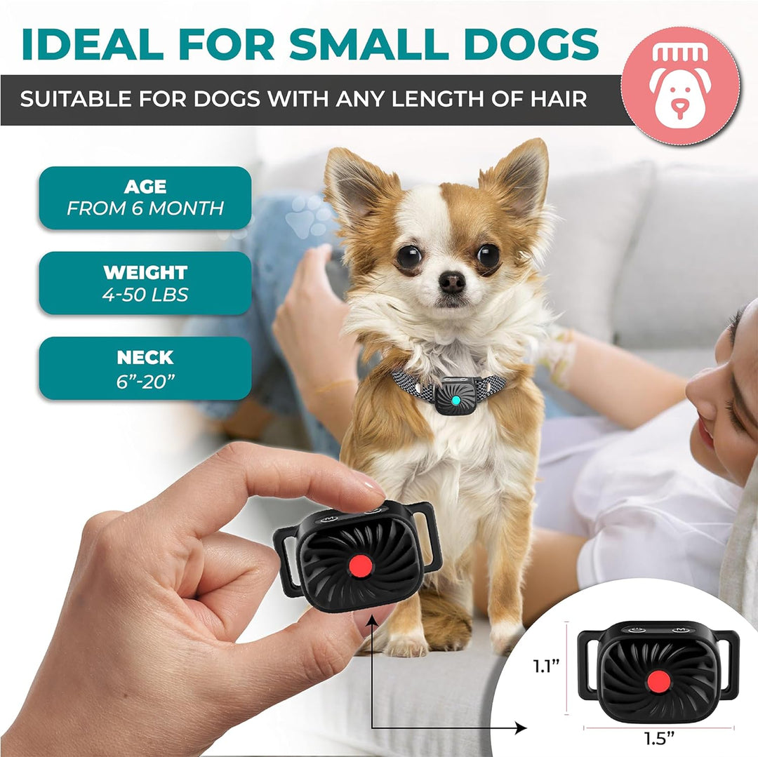 Collier Anti-Aboiement pour Chiens de Petite Taille | Fonctionne par Son & Vibration | Étanche IP87 | Solution d'Entraînement Douce et Ajustable