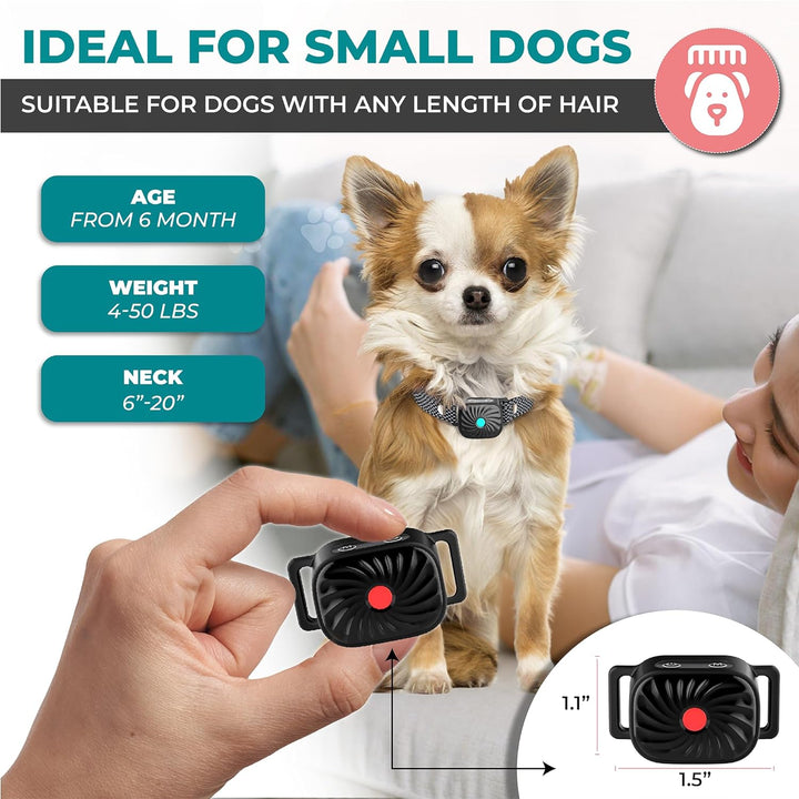 Collier Anti-Aboiement pour Chiens de Petite Taille | Fonctionne par Son & Vibration | Étanche IP87 | Solution d'Entraînement Douce et Ajustable