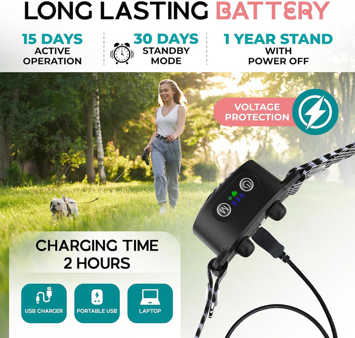 Collier Anti-Aboiement pour Chiens de Petite Taille | Fonctionne par Son & Vibration | Étanche IP87 | Solution d'Entraînement Douce et Ajustable