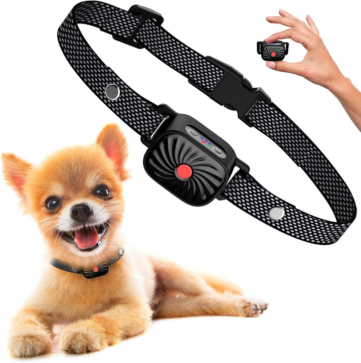 Collier Anti-Aboiement pour Chiens de Petite Taille | Fonctionne par Son & Vibration | Étanche IP87 | Solution d'Entraînement Douce et Ajustable