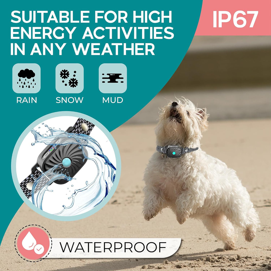 Collier Anti-Aboiement pour Chiens de Petite Taille | Fonctionne par Son & Vibration | Étanche IP87 | Solution d'Entraînement Douce et Ajustable