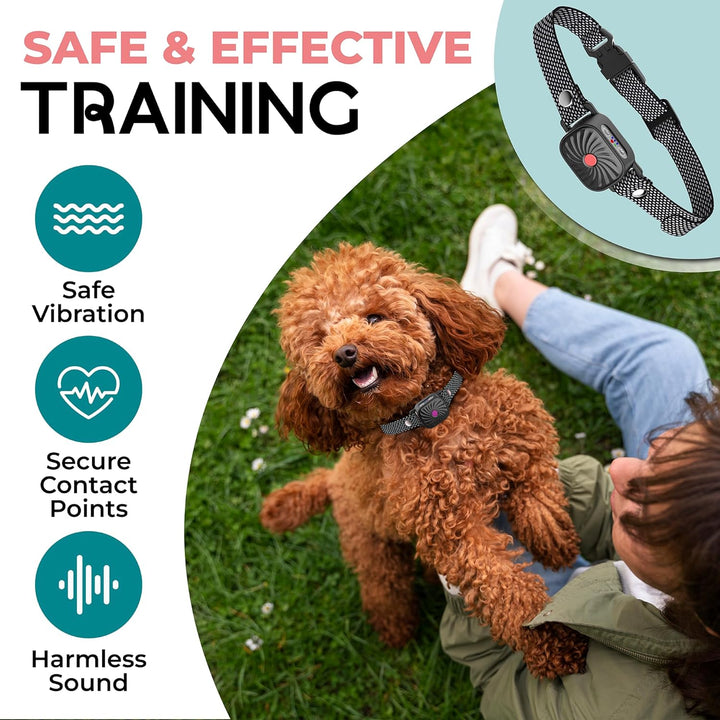 Collier Anti-Aboiement pour Chiens de Petite Taille | Fonctionne par Son & Vibration | Étanche IP87 | Solution d'Entraînement Douce et Ajustable