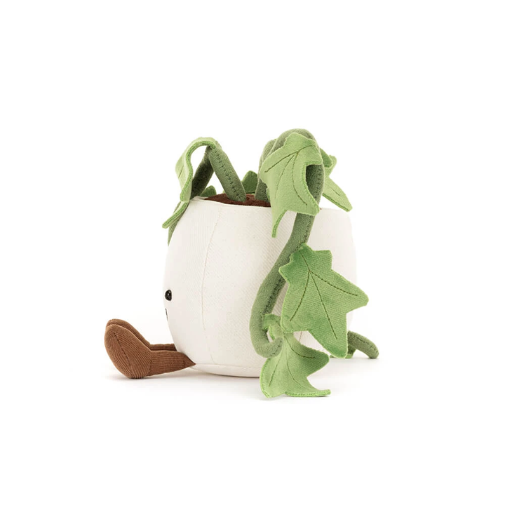 Ivy Amusant