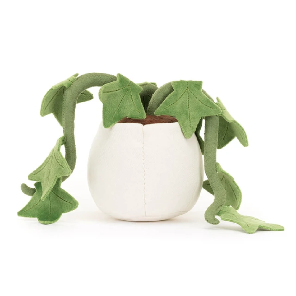 Ivy Amusant