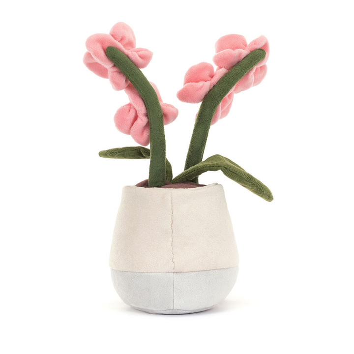 Orchidée Rose Amuseables