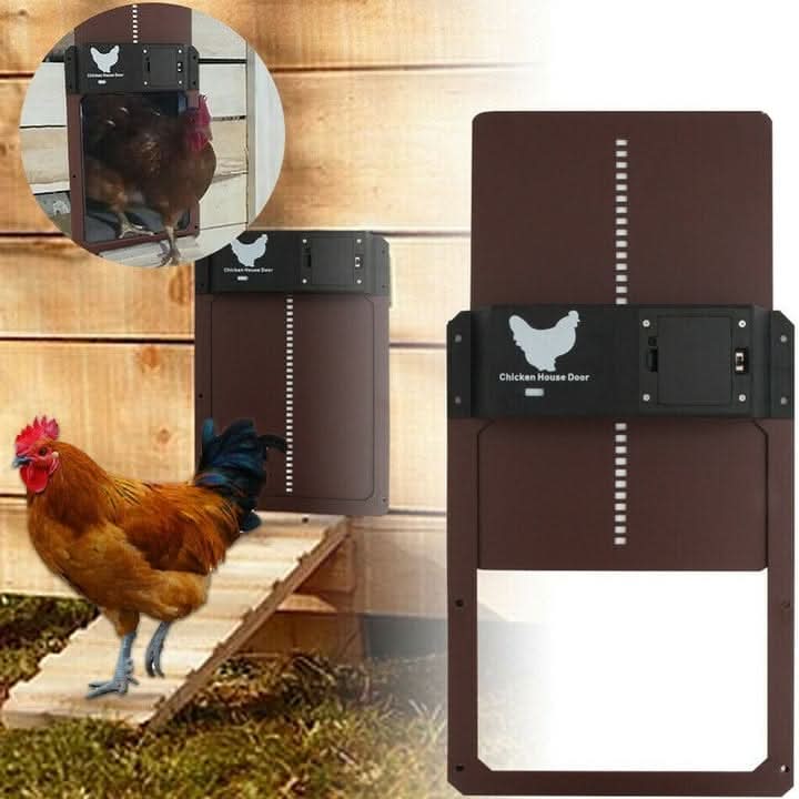 Porte de Poulailler Automatique avec Capteur de Lumière et Protection Météorologique