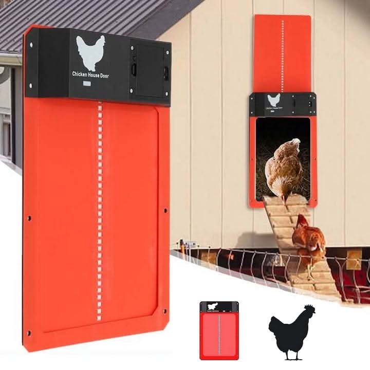 Porte de Poulailler Automatique avec Capteur de Lumière et Protection Météorologique