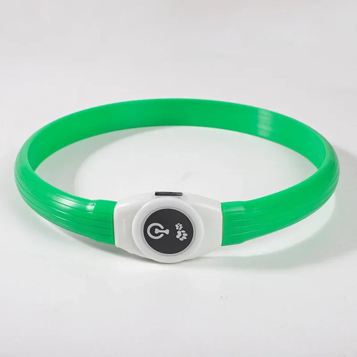 Collier LED pour Chiens pour des Promenades Nocturnes Sûres