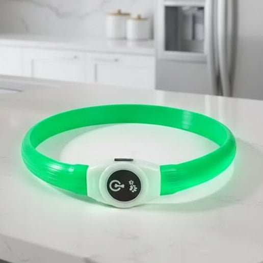 Collier LED pour Chiens pour des Promenades Nocturnes Sûres