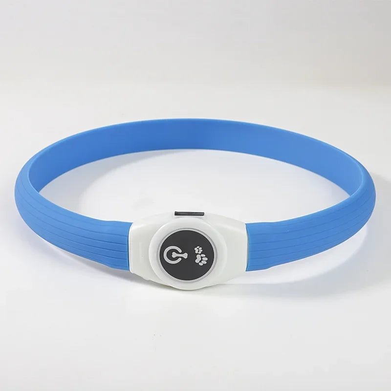 Collier LED pour Chiens pour des Promenades Nocturnes Sûres