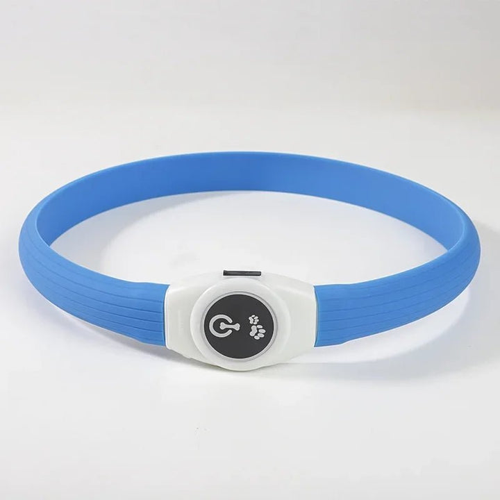 Collier LED pour Chiens pour des Promenades Nocturnes Sûres