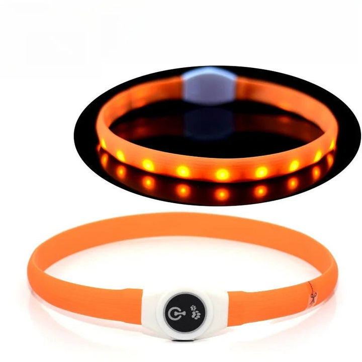 Collier LED pour Chiens pour des Promenades Nocturnes Sûres