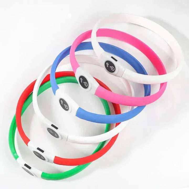 Collier LED pour Chiens pour des Promenades Nocturnes Sûres