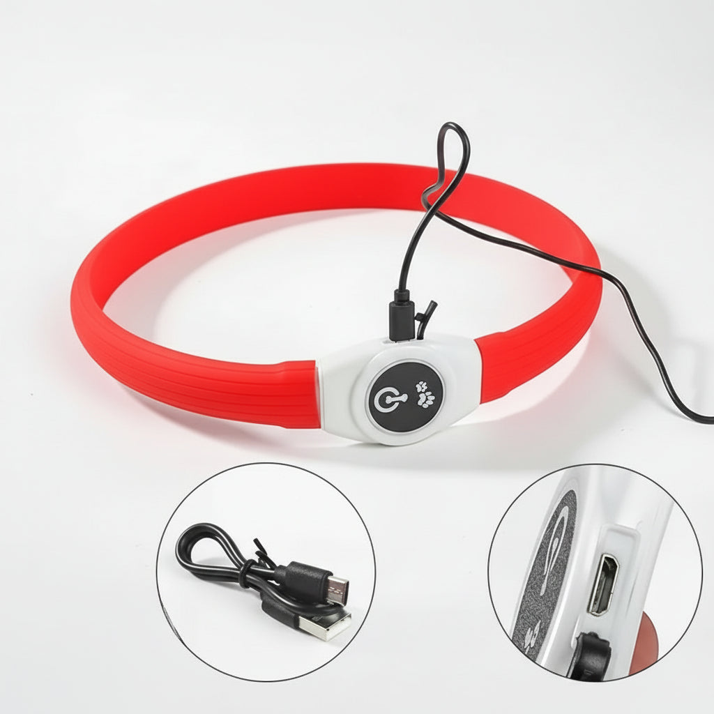 Collier LED pour Chiens pour des Promenades Nocturnes Sûres