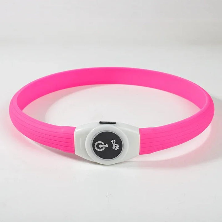 Collier LED pour Chiens pour des Promenades Nocturnes Sûres