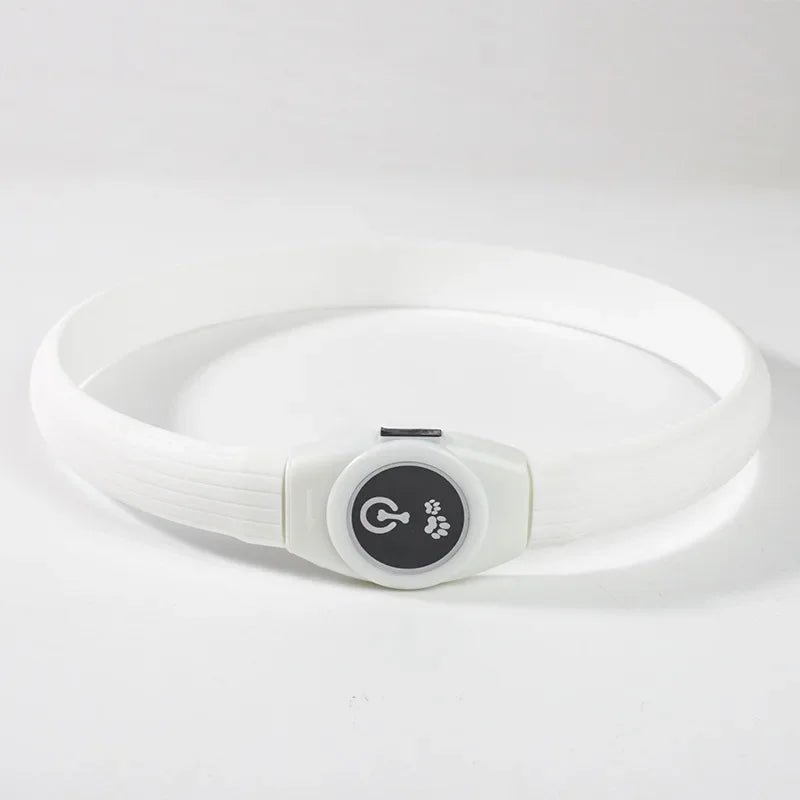 Collier LED pour Chiens pour des Promenades Nocturnes Sûres