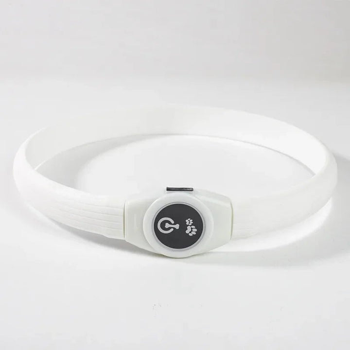 Collier LED pour Chiens pour des Promenades Nocturnes Sûres