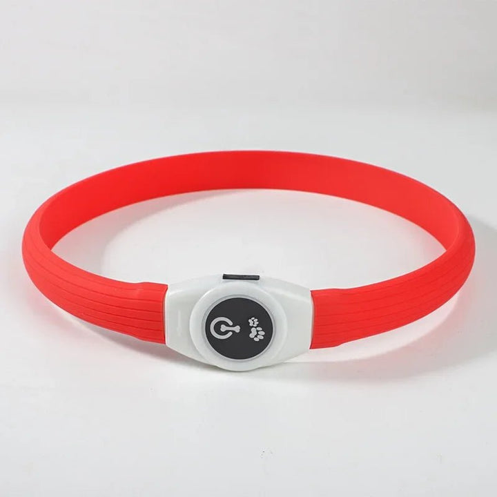 Collier LED pour Chiens pour des Promenades Nocturnes Sûres