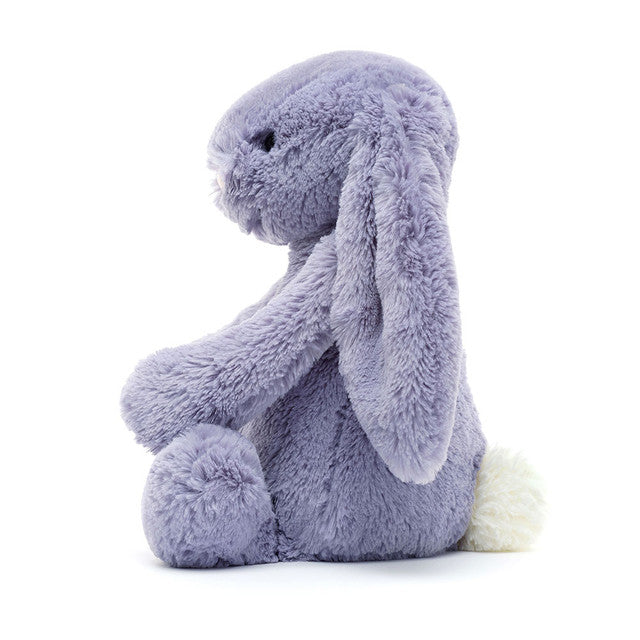 Lapin Viola Timide