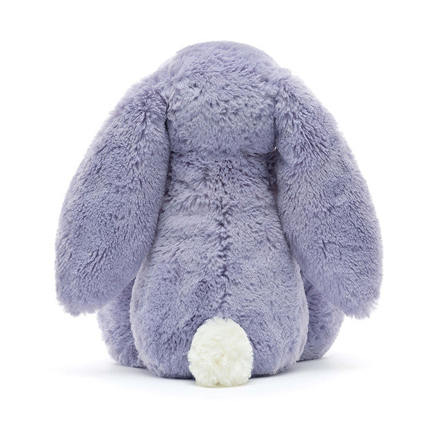 Lapin Viola Timide