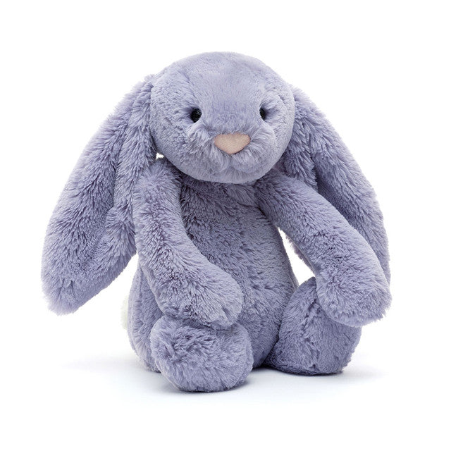 Lapin Viola Timide