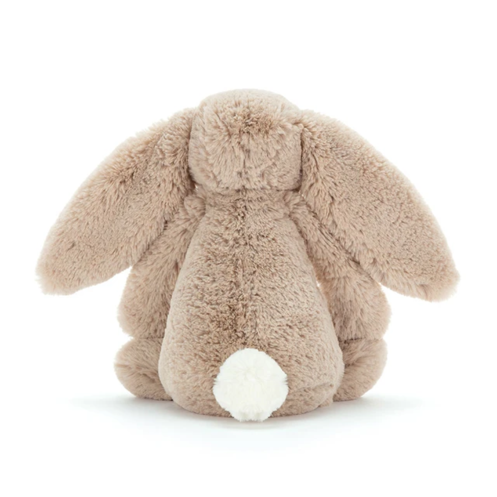 Lapin Beige Timide