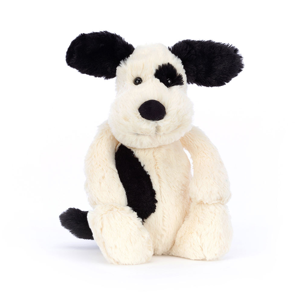 Chiot Noir et Crème Timide