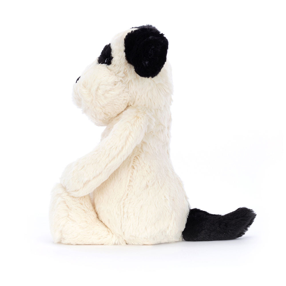 Chiot Noir et Crème Timide