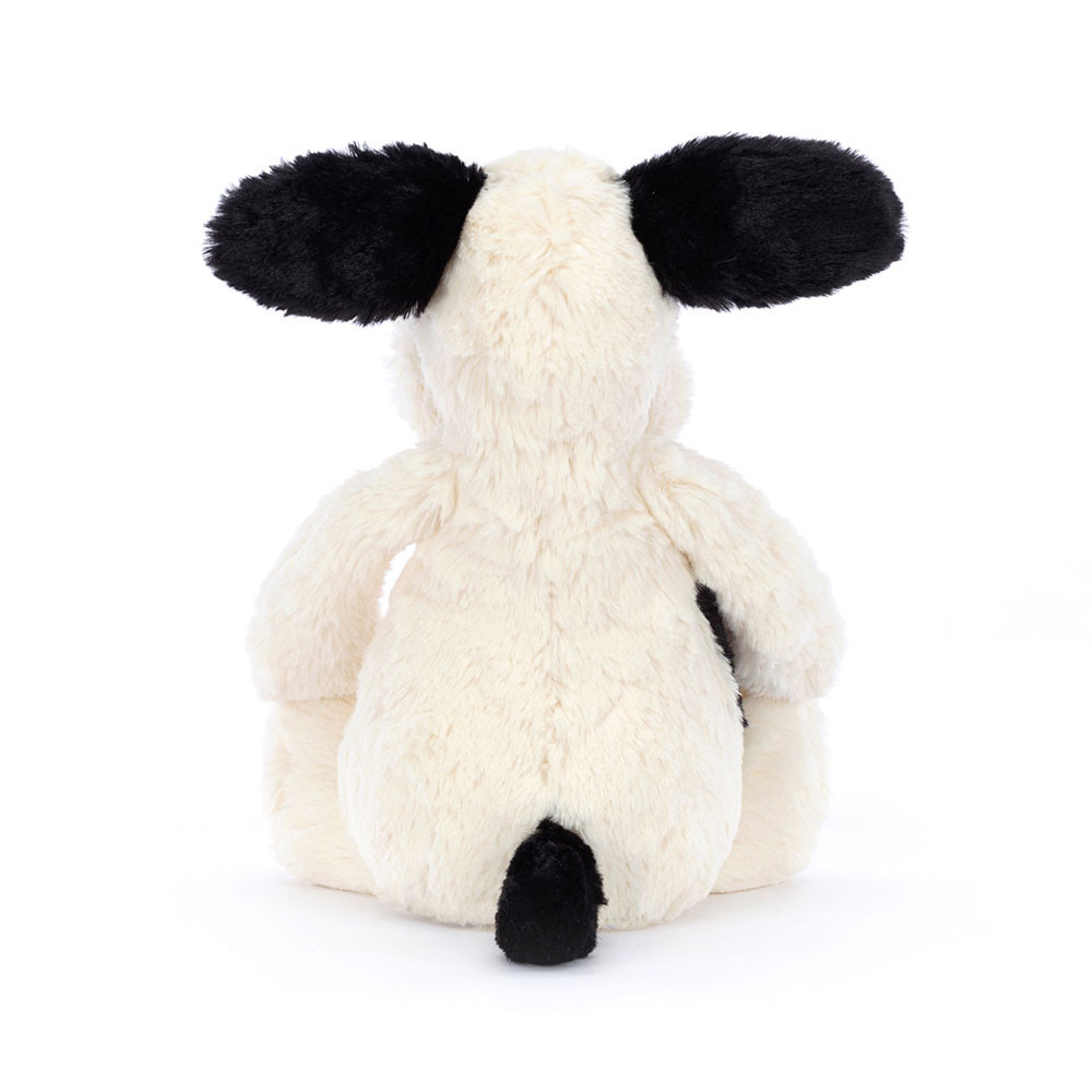 Chiot Noir et Crème Timide