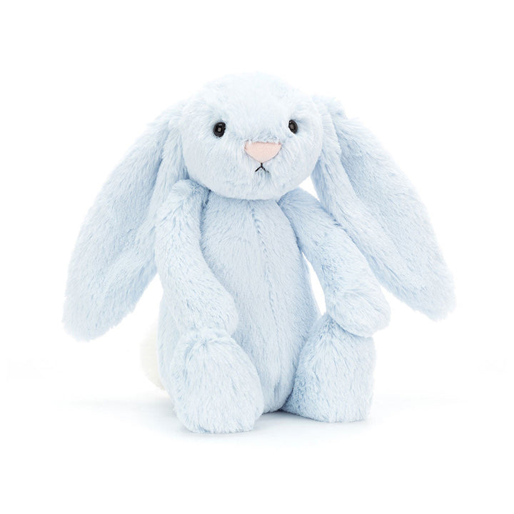Lapin Bleu Timide