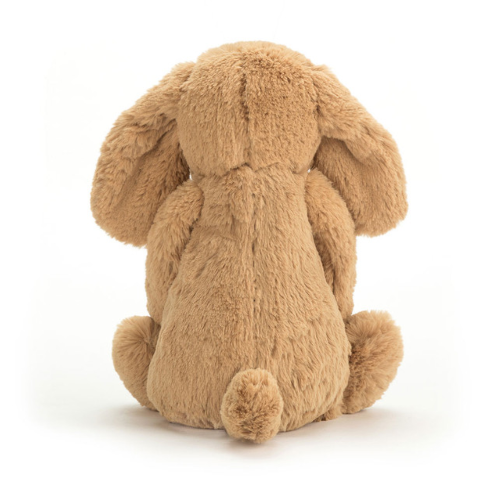 Chiot Toffee Timide
