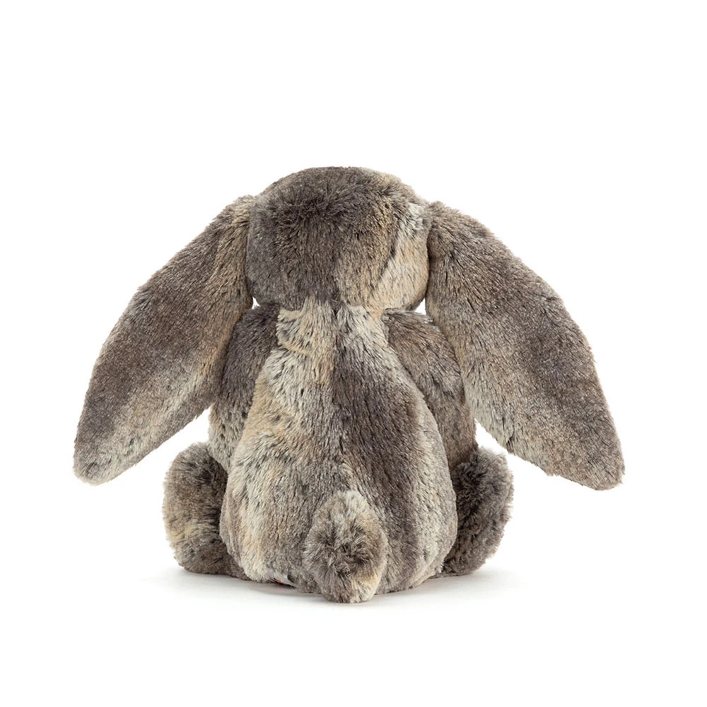 Lapin des Bois Timide