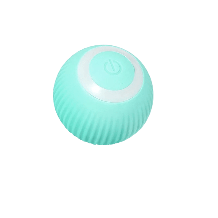Balle Interactive Rechargeable pour Chien