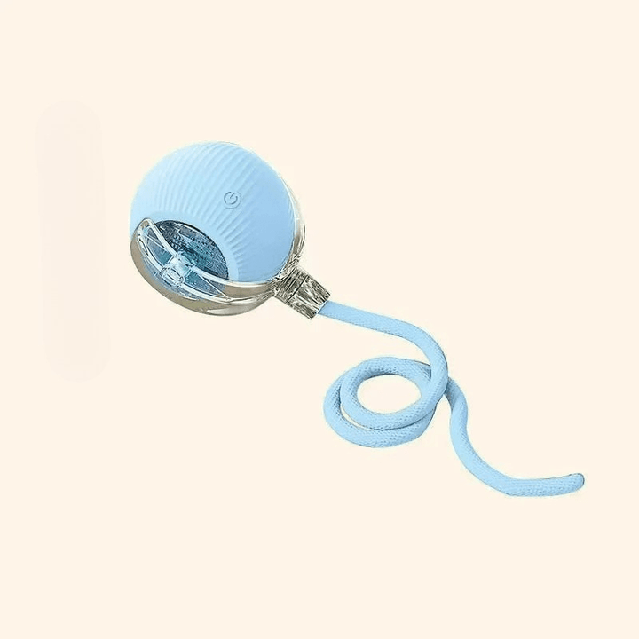 Balle Interactive Rechargeable pour Chien