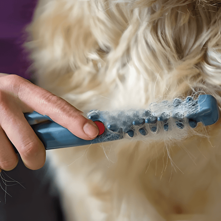 Tondeuse Douce pour Animaux pour Tous les Types de Pelage