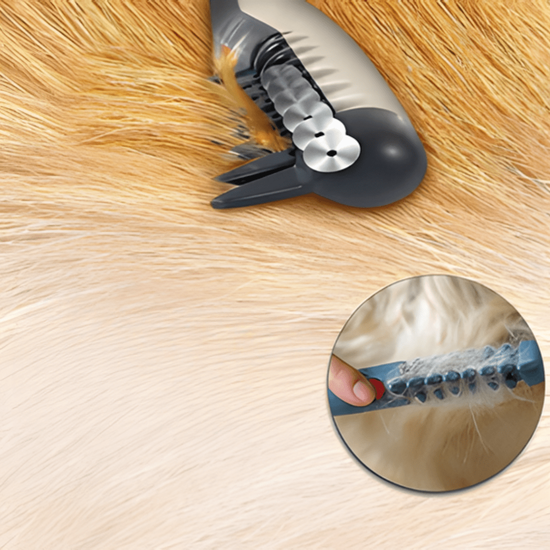 Tondeuse Douce pour Animaux pour Tous les Types de Pelage
