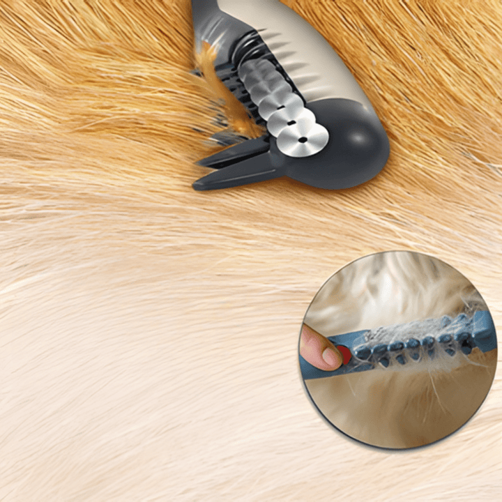 Tondeuse Douce pour Animaux pour Tous les Types de Pelage